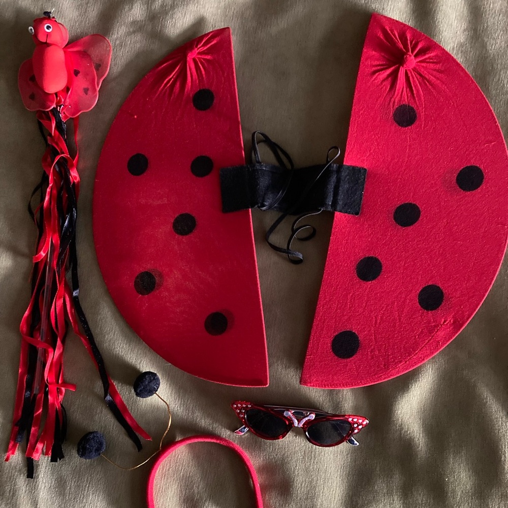 Lady Bug Costume